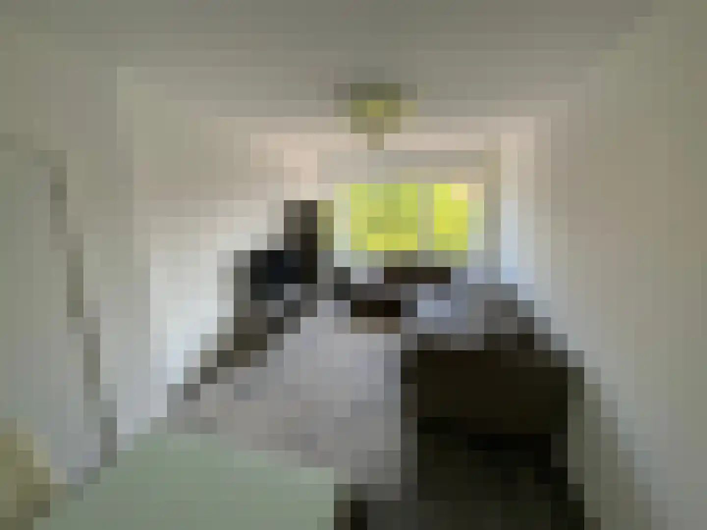 Vierhoutenstraat 115 Den Haag thumbnail 6