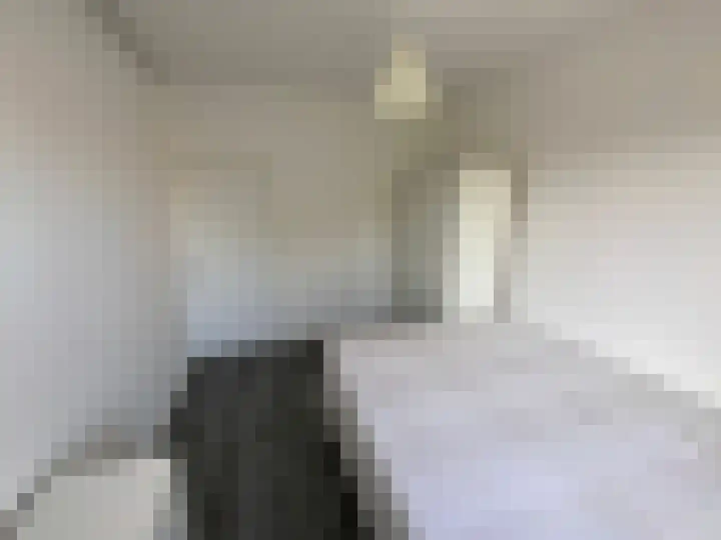 Vierhoutenstraat 115 Den Haag thumbnail 8