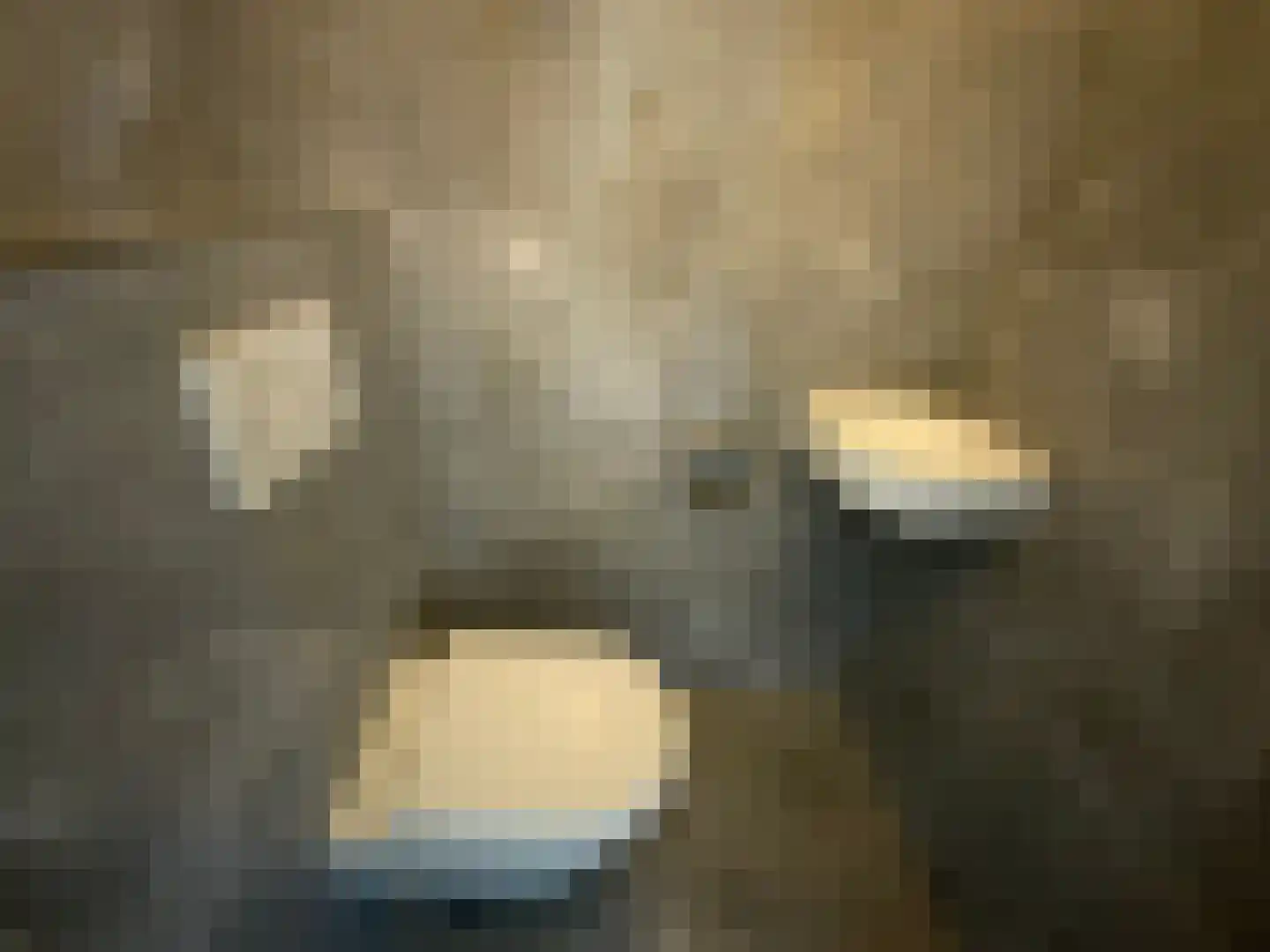 Vierhoutenstraat 115 Den Haag thumbnail 9