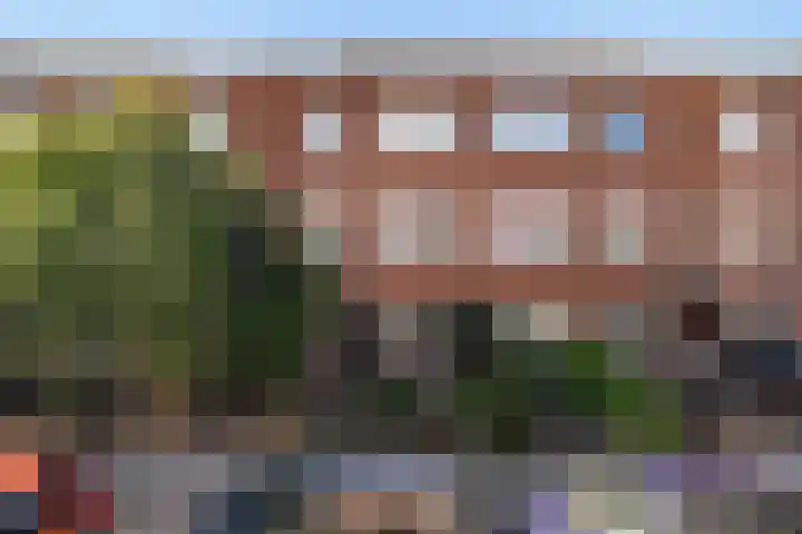 Vierhoutenstraat 49 Den Haag thumbnail 23