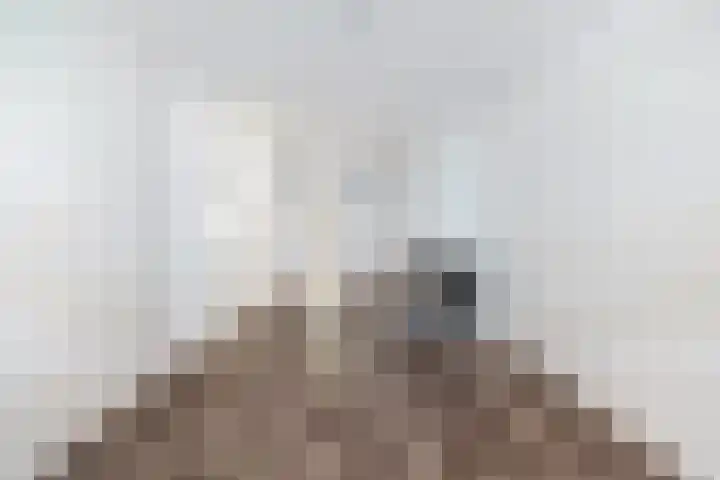 Vierhoutenstraat 49 Den Haag thumbnail 5