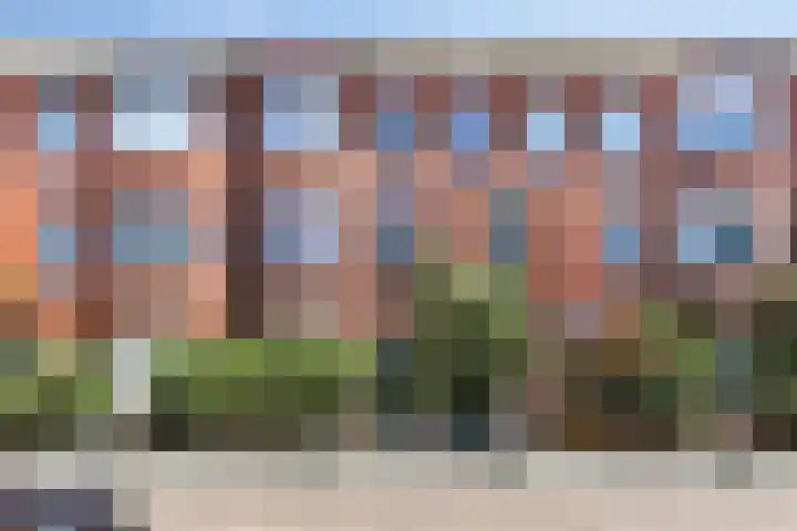 Vierhoutenstraat 58 Den Haag thumbnail 22
