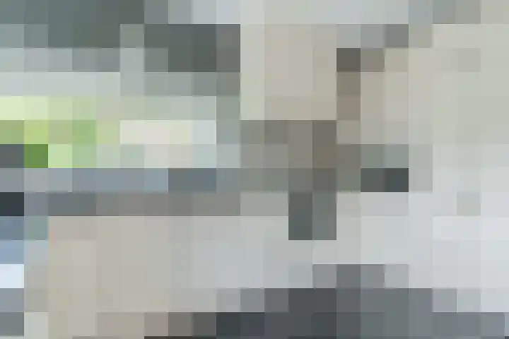 Vierhoutenstraat 8 Tilburg thumbnail 11