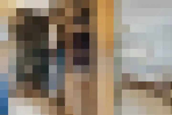 Vierhoutenstraat 8 Tilburg thumbnail 18