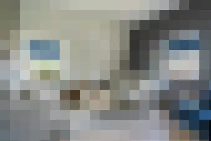 Vierhoutenstraat 8 Tilburg thumbnail 31