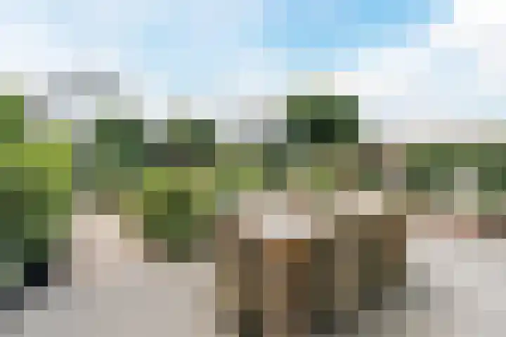 Vierhoutenstraat 8 Tilburg thumbnail 36