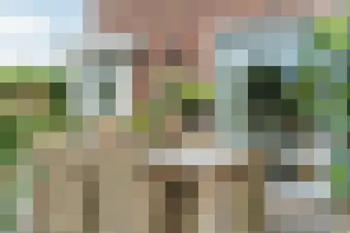 Vierhoutenstraat 8 Tilburg thumbnail 37