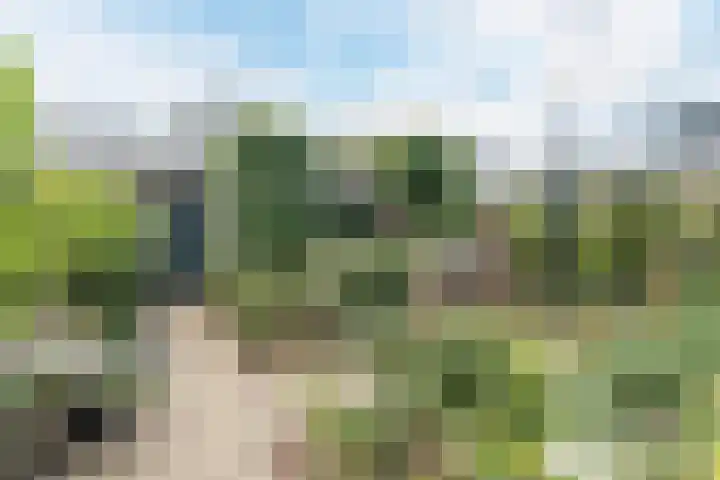Vierhoutenstraat 8 Tilburg thumbnail 38