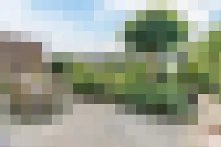 Vierhoutenstraat 8 Tilburg thumbnail 39