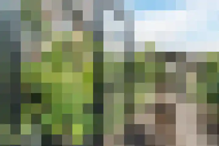 Vierhoutenstraat 8 Tilburg thumbnail 40