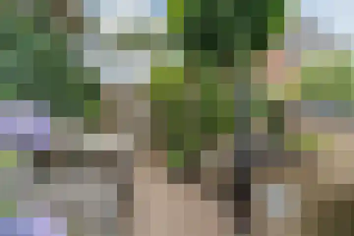 Vierhoutenstraat 8 Tilburg thumbnail 41