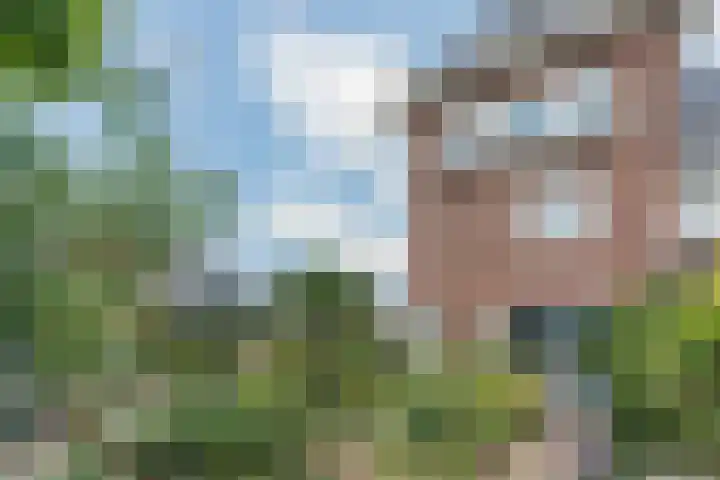Vierhoutenstraat 8 Tilburg thumbnail 43