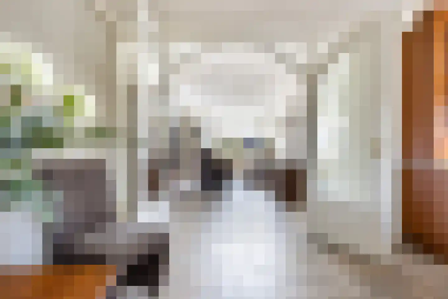 Vierhouterweg 15 Elspeet thumbnail 13