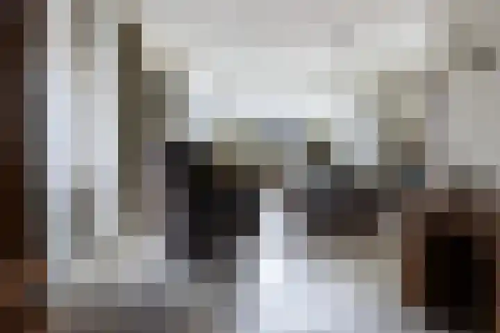 Vierhouterweg 15 Elspeet thumbnail 14