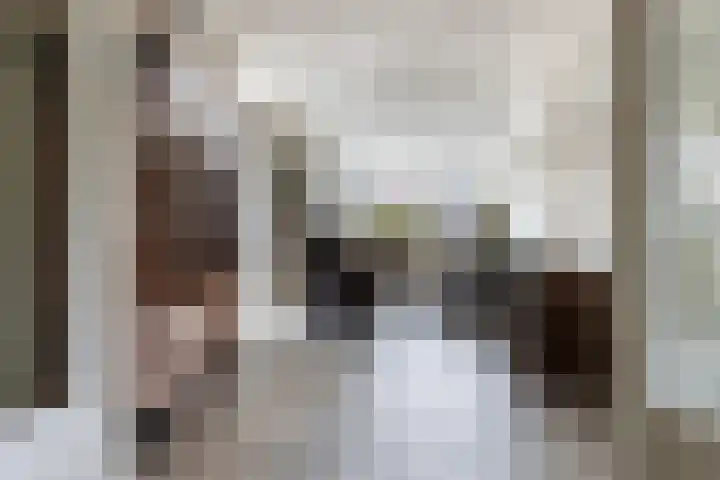 Vierhouterweg 15 Elspeet thumbnail 15