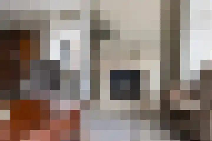 Vierhouterweg 15 Elspeet thumbnail 17