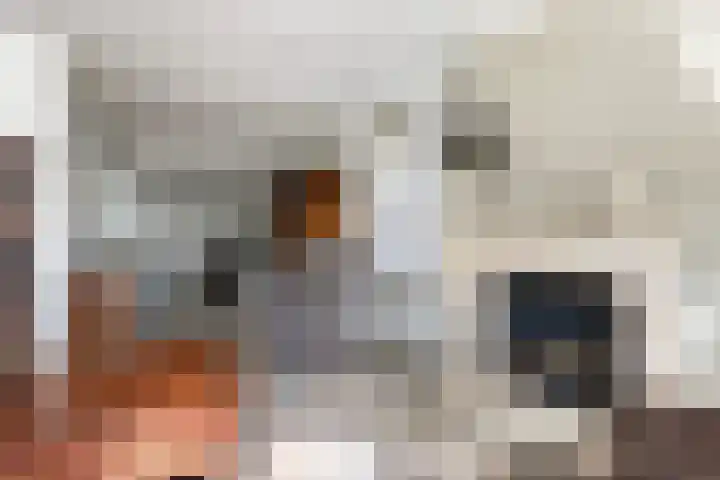 Vierhouterweg 15 Elspeet thumbnail 18