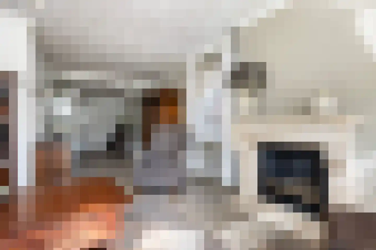 Vierhouterweg 15 Elspeet thumbnail 18