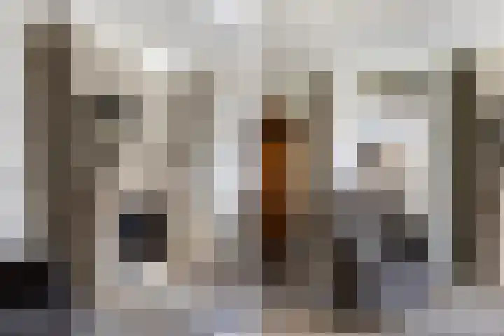 Vierhouterweg 15 Elspeet thumbnail 19