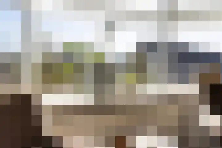 Vierhouterweg 15 Elspeet thumbnail 21