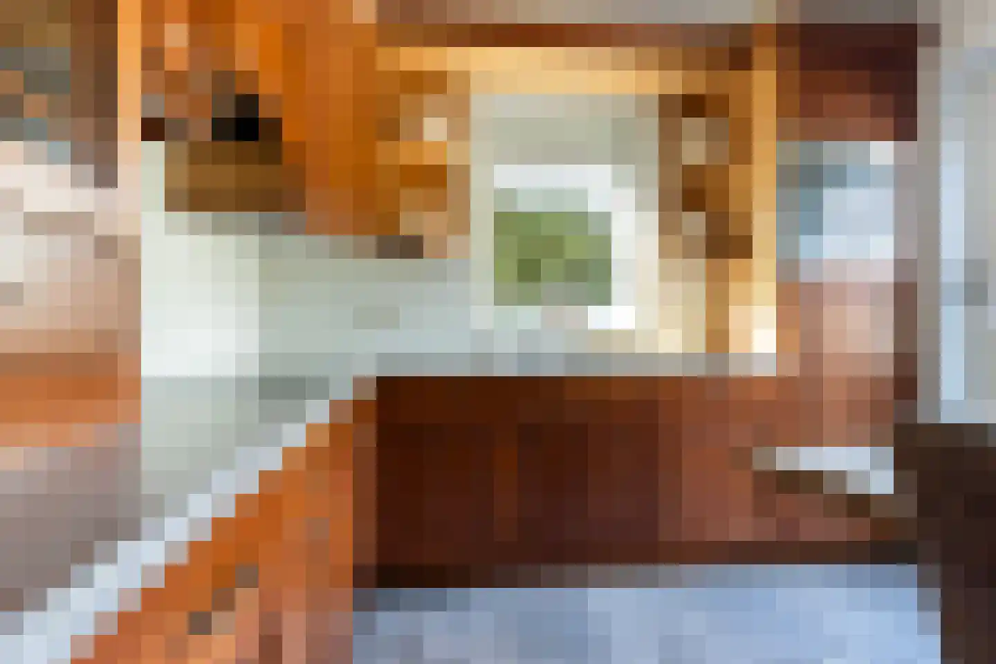 Vierhouterweg 15 Elspeet thumbnail 25