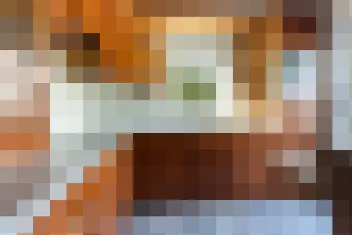 Vierhouterweg 15 Elspeet thumbnail 25