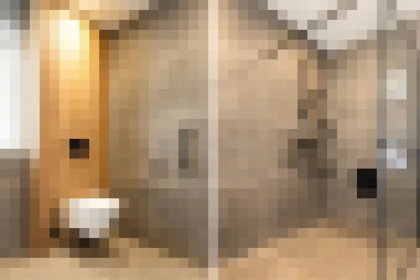 Vierhouterweg 15 Elspeet thumbnail 30