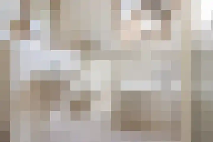 Vierhouterweg 15 Elspeet thumbnail 39