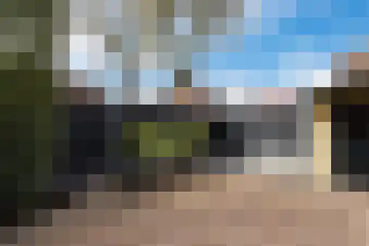 Vierhouterweg 15 Elspeet thumbnail 46