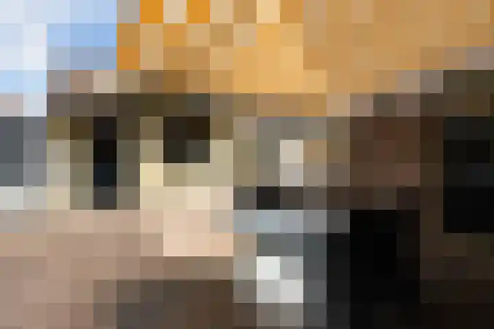 Vierhouterweg 15 Elspeet thumbnail 48