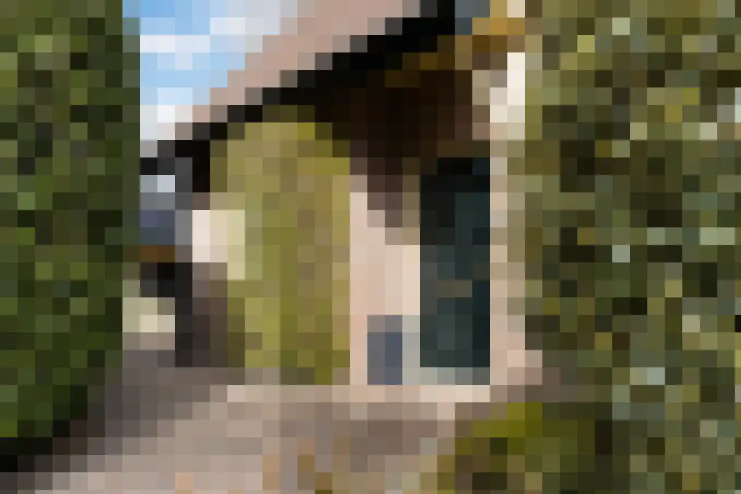 Vierhouterweg 15 Elspeet thumbnail 5