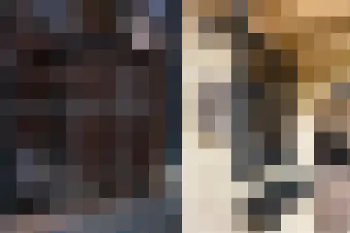 Vierhouterweg 15 Elspeet thumbnail 51
