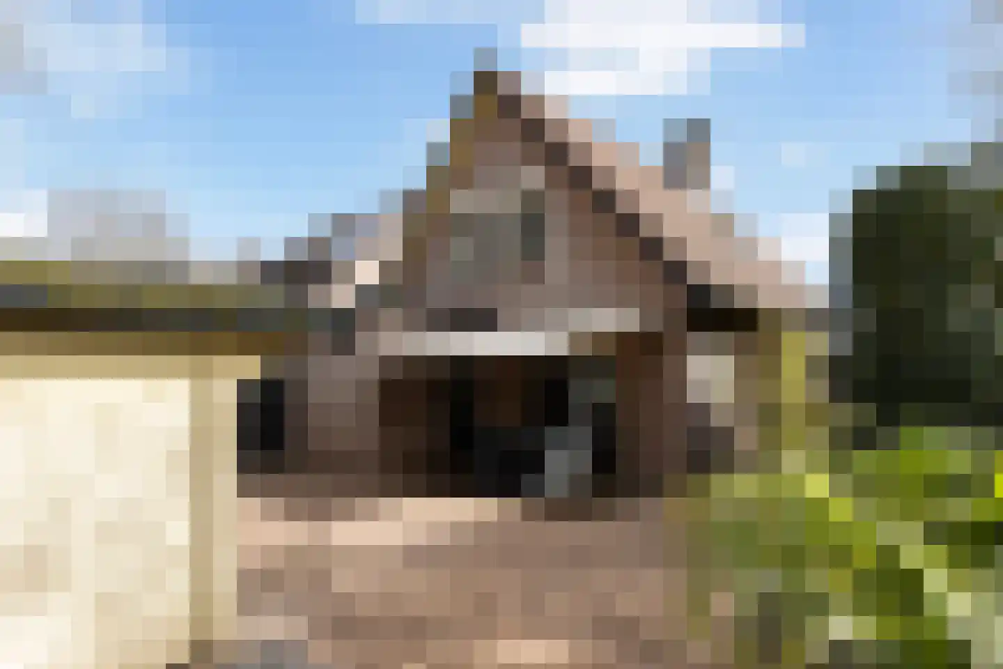 Vierhouterweg 15 Elspeet thumbnail 52
