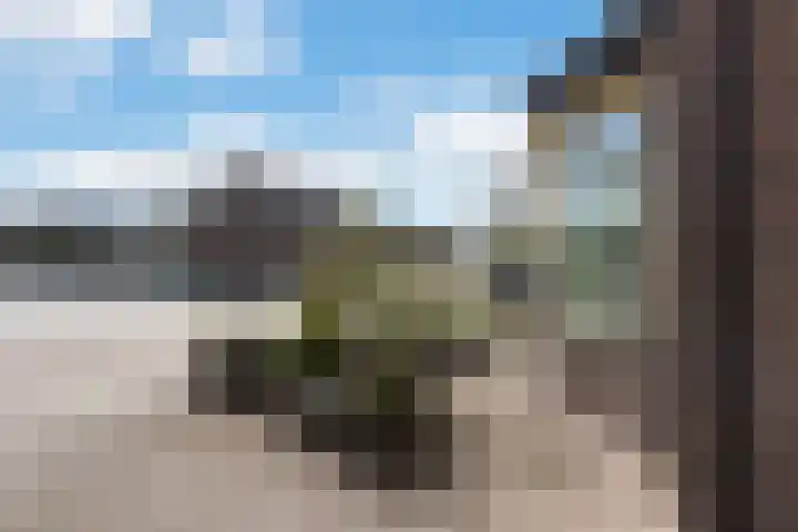 Vierhouterweg 15 Elspeet thumbnail 56