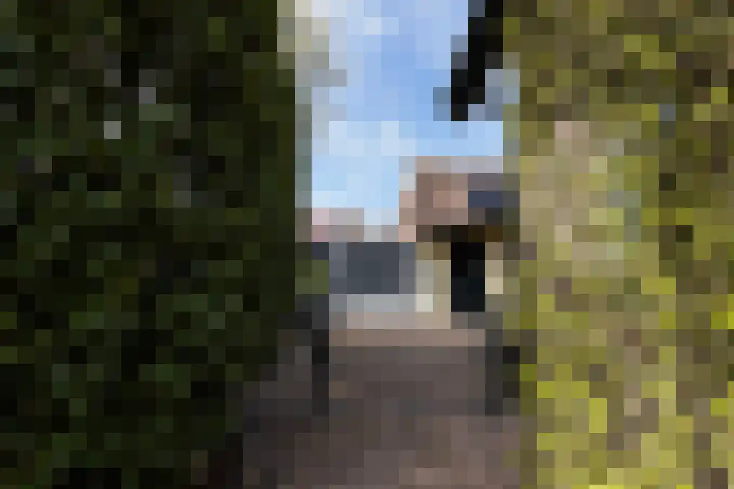 Vierhouterweg 15 Elspeet thumbnail 6