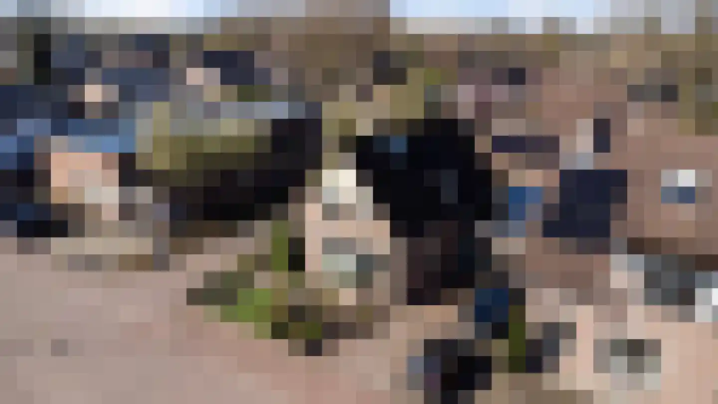 Vierhouterweg 15 Elspeet thumbnail 60