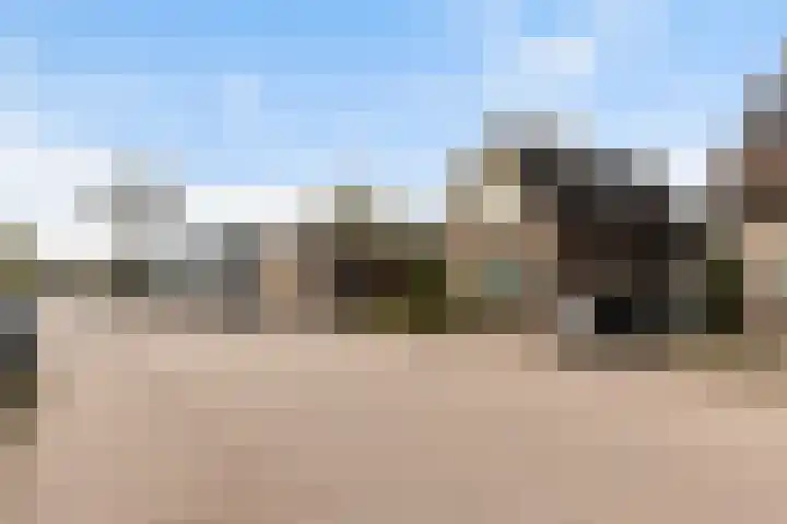 Vierhouterweg 15 Elspeet thumbnail 61