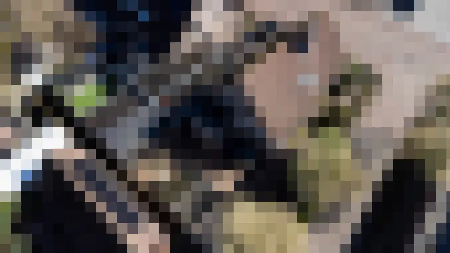 Vierhouterweg 15 Elspeet thumbnail 62