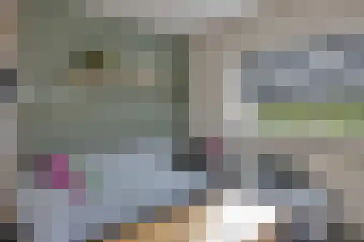Vierhoven 11 Terheijden thumbnail 11