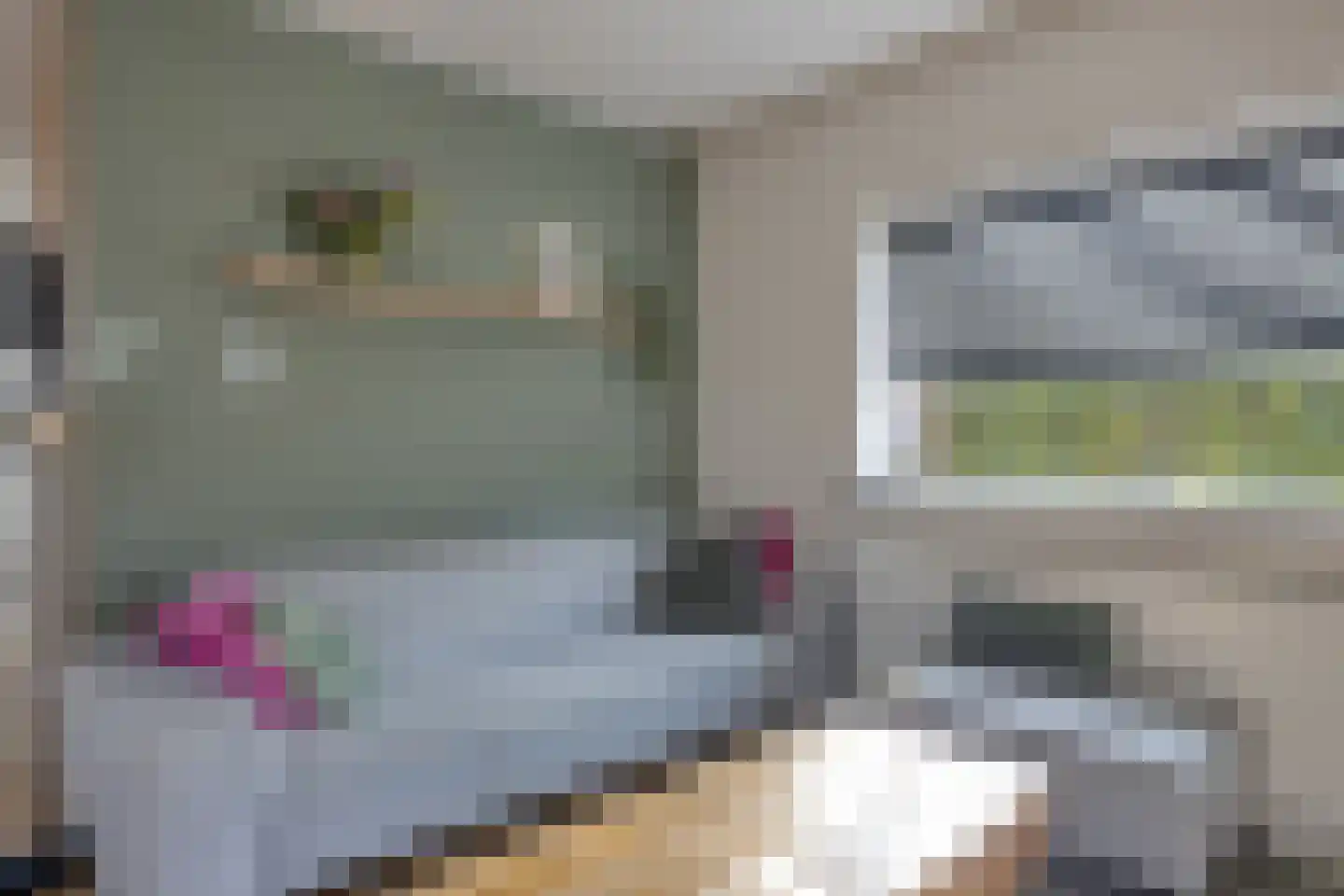 Vierhoven 11 Terheijden thumbnail 11