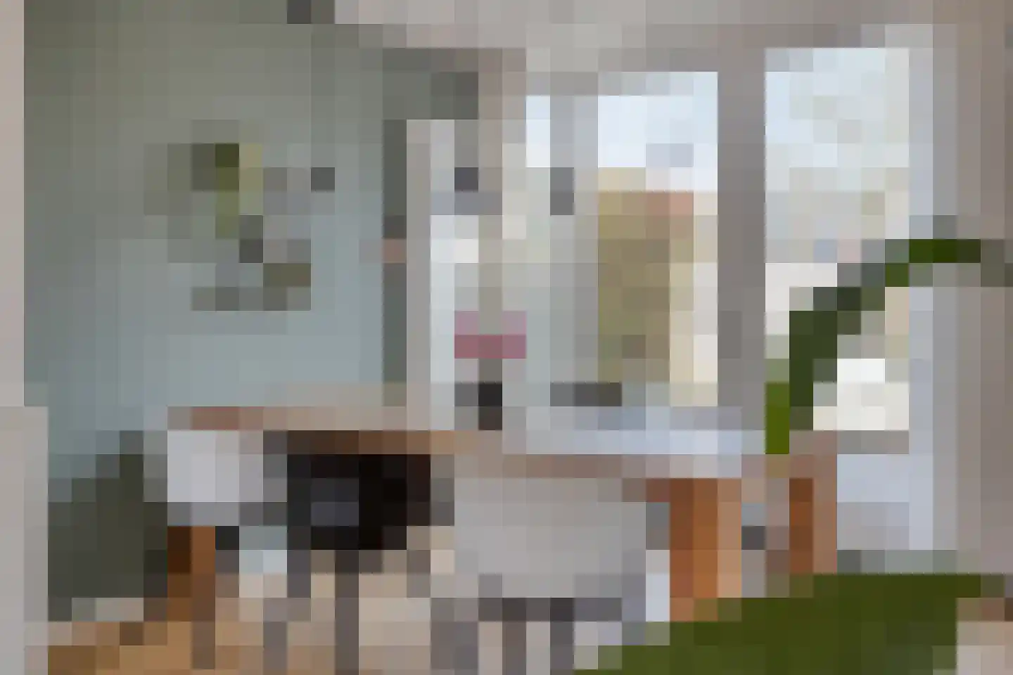Vierhoven 11 Terheijden thumbnail 14