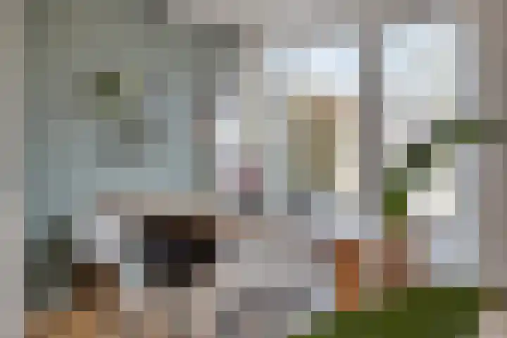 Vierhoven 11 Terheijden thumbnail 14