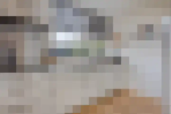Vierhoven 11 Terheijden thumbnail 17