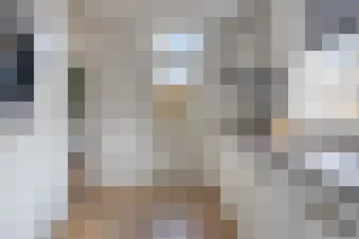 Vierhoven 11 Terheijden thumbnail 18