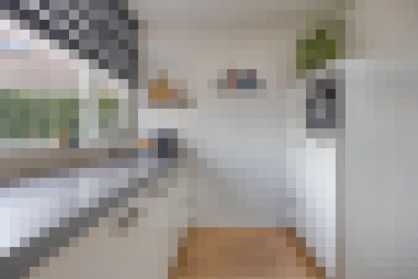 Vierhoven 11 Terheijden thumbnail 20