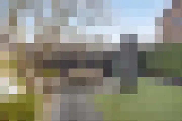 Vierhoven 11 Terheijden thumbnail 39