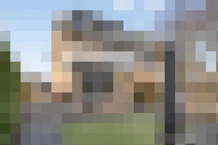 Vierhoven 11 Terheijden thumbnail 42