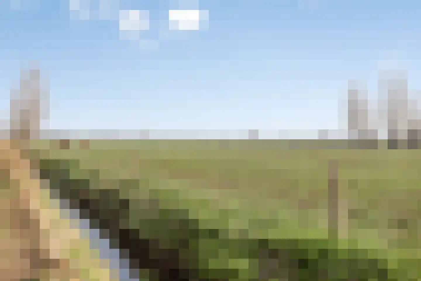 Vierhoven 11 Terheijden thumbnail 47