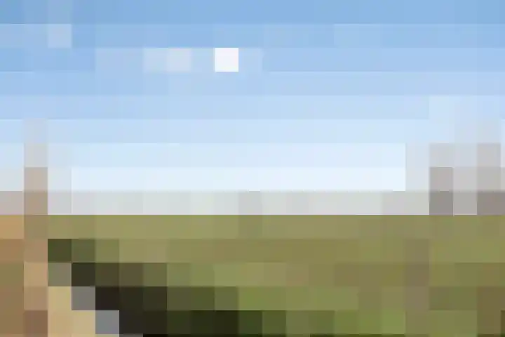 Vierhoven 11 Terheijden thumbnail 48