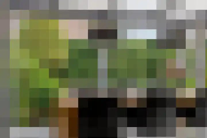 Vierhoven 3 Terheijden thumbnail 12